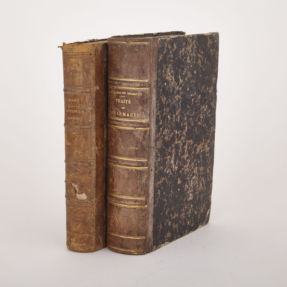 [Books-Science and Nature] Two French Volumes on Science and Nature, 19th century
